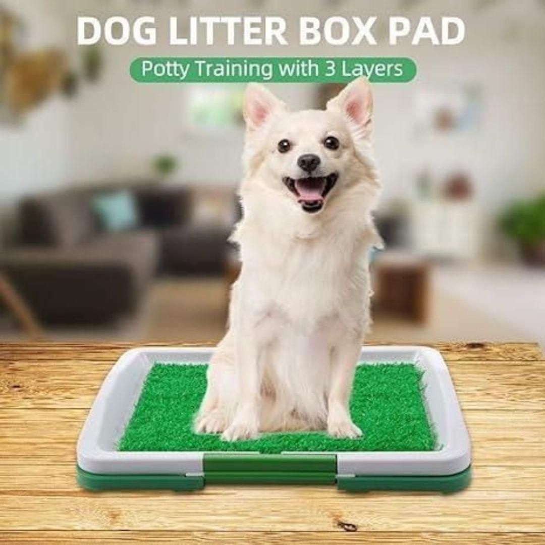 🐾 Puppy Potty Training Pad – Washable & Reusable